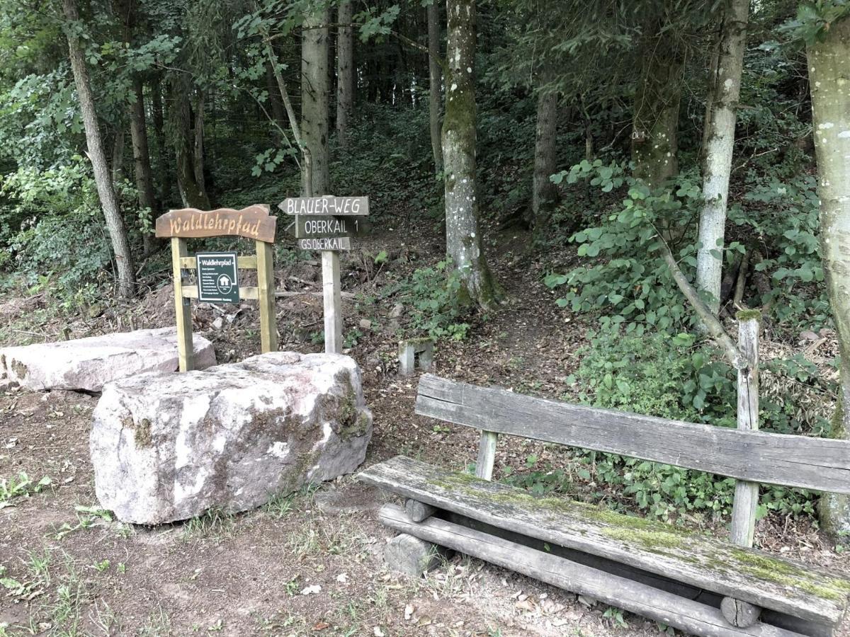 Oberkail Eifel Ferienhaus Anne 빌라 외부 사진